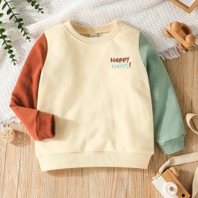 SHEIN Young Boy Color Block Letter Embroidery Sweatshirt Chic Outfits For Autumn Winter